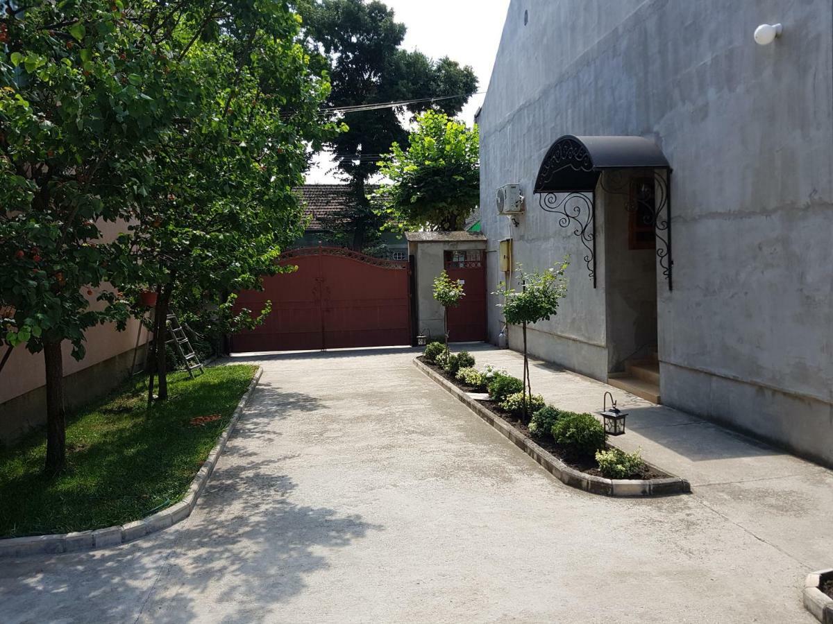 Apartman Vila Milica Kikinda Bagian luar foto