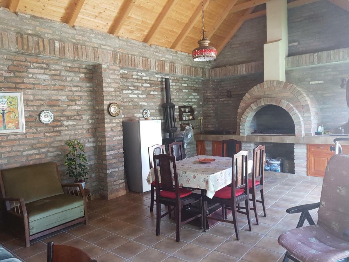 Apartman Vila Milica Kikinda Bagian luar foto