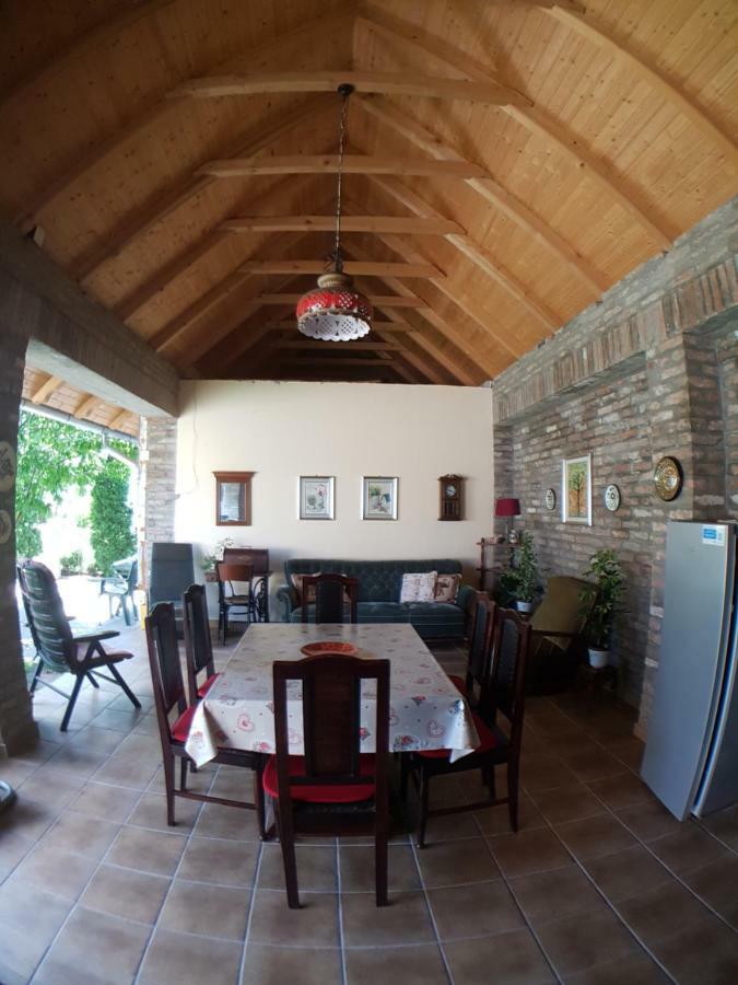 Apartman Vila Milica Kikinda Bagian luar foto